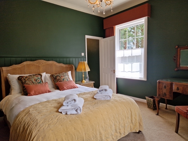 Beech bed2